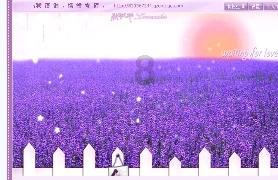 如何能保持身材不忽胖忽瘦？游戏画面